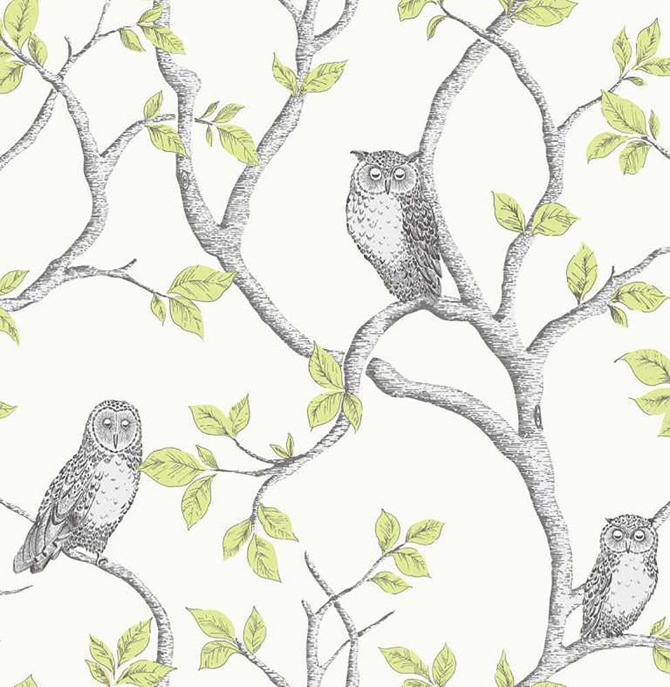 Linden Green Owl Wallpaper by Fine Decor Medley Covers about 56.4 square feet Great Britain Unpasted 20.86-in repeat, drop match 20.5-in by 33-ft long roll - Fabric Carolina -