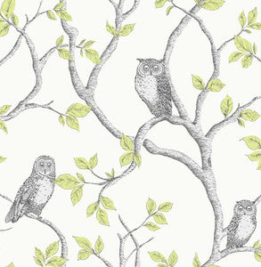 Linden Green Owl Wallpaper by Fine Decor
