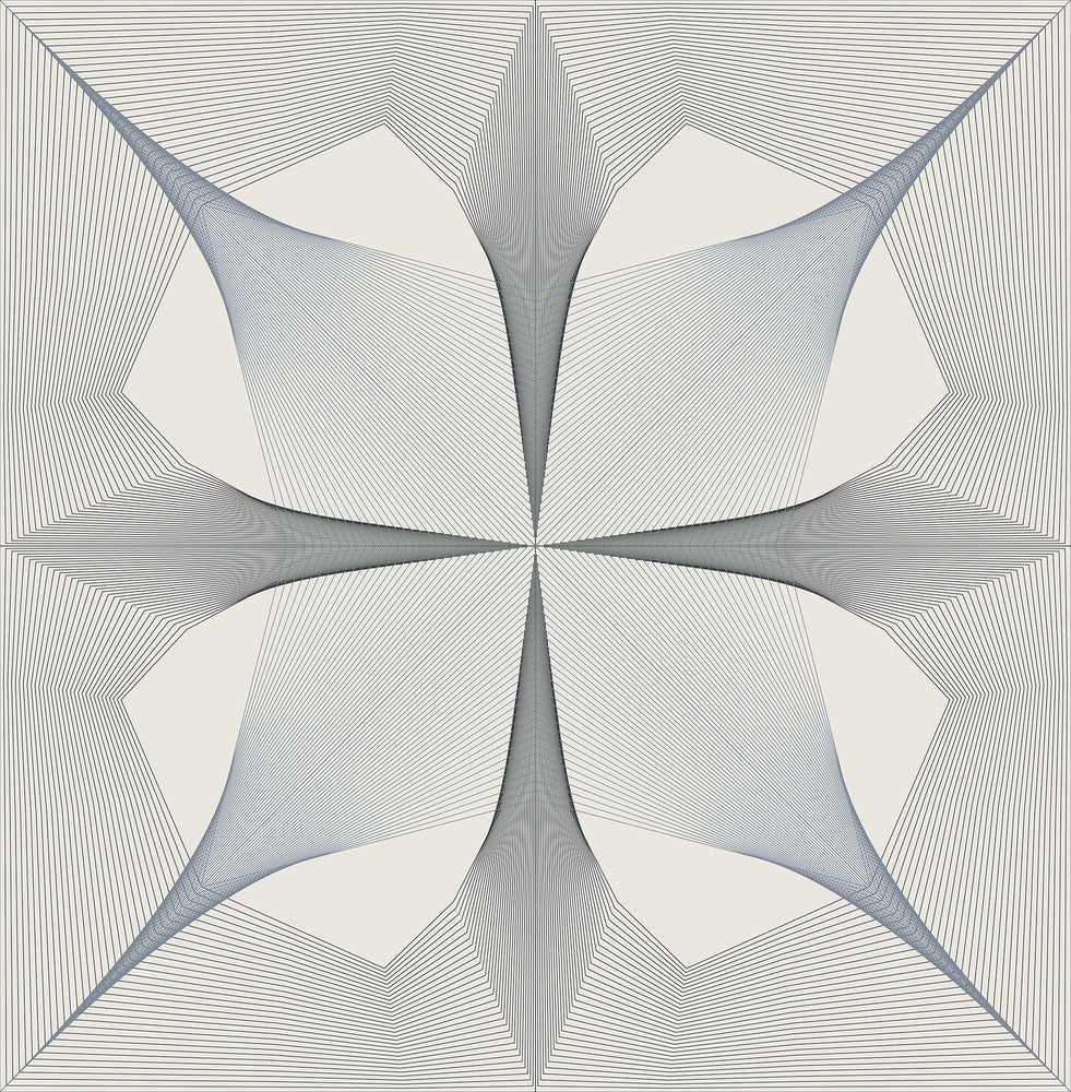 Radius Black Geometric Wallpaper by A-Street Prints Theory Covers about 56.4 square feet 20.5-in by 33-ft long roll Unpasted 20.9 - Fabric Carolina -