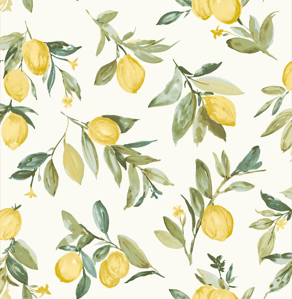 Limon Yellow Fruit Wallpaper by Brewster Fresh Start Kitchen & Bath Covers about 56.4 square feet 20.5-in by 33-ft long roll Unpasted 20.9 - Fabric Carolina -