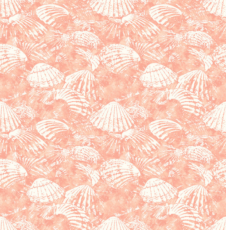 Surfside Coral Shells Wallpaper by Brewster Fresh Start Kitchen & Bath Covers about 56.4 square feet 20.5-in by 33-ft long roll Unpasted 10.4 - Fabric Carolina -
