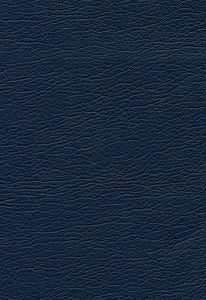 Ultraleather Diplomat 291-2478 by Schumacher Fabric