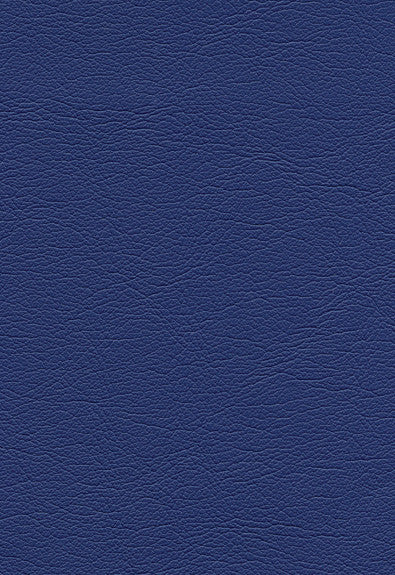 Ultraleather Baltic 291-2551 by Schumacher Fabric Ultraleather 100% Polyurethane Wyzenbeek 400,000 Horizontal: - and Vertical: - 54 - Fabric Carolina -
