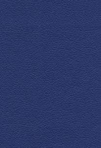 Ultraleather Baltic 291-2551 by Schumacher Fabric