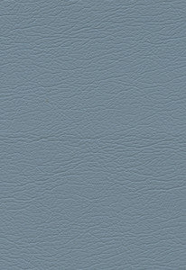 Ultraleather Riviera 291-2552 by Schumacher Fabric