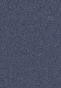Ultraleather Cadet 291-2555 by Schumacher Fabric