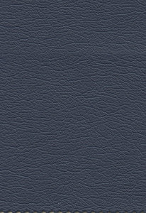 Ultraleather Admiral 291-2556 by Schumacher Fabric