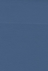 Ultraleather Bayou 291-2685 by Schumacher Fabric