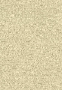 Ultraleather Shell 291-3470 by Schumacher Fabric