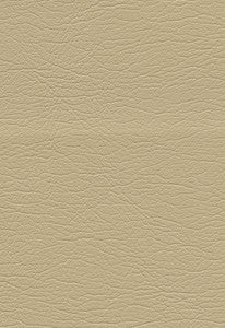 Ultraleather Buff 291-3609 by Schumacher Fabric