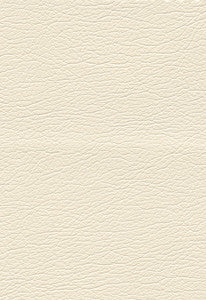Ultraleather Light Oyster 291-3720 by Schumacher Fabric