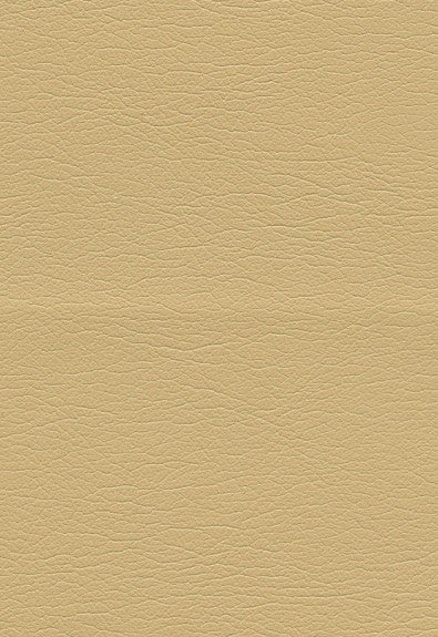 Ultraleather Chamois 291-3851 by Schumacher Fabric Ultraleather 100% Polyurethane Wyzenbeek 400,000 Horizontal: - and Vertical: - 54 - Fabric Carolina -