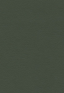 Ultraleather Loden 291-4352 by Schumacher Fabric