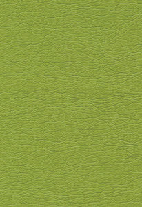 Ultraleather Parrot 291-4460 by Schumacher Fabric