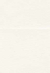 Ultraleather Ermine 291-5805 by Schumacher Fabric