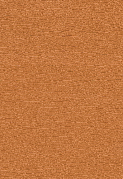 Ultraleather Apricot 291-8243 by Schumacher Fabric Ultraleather 100% Polyurethane Wyzenbeek 400,000 Horizontal: - and Vertical: - 54 - Fabric Carolina -