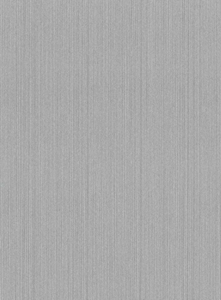 Paxton Silver Cord String Wallpaper by Warner Warner Basics V Covers about 60.8 square feet 27-in by 27-ft long roll Unpasted 0 - Fabric Carolina -