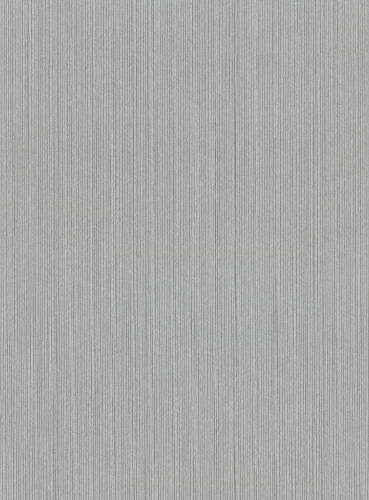 Paxton Silver Cord String Wallpaper by Warner Warner Basics V Covers about 60.8 square feet 27-in by 27-ft long roll Unpasted 0 - Fabric Carolina -