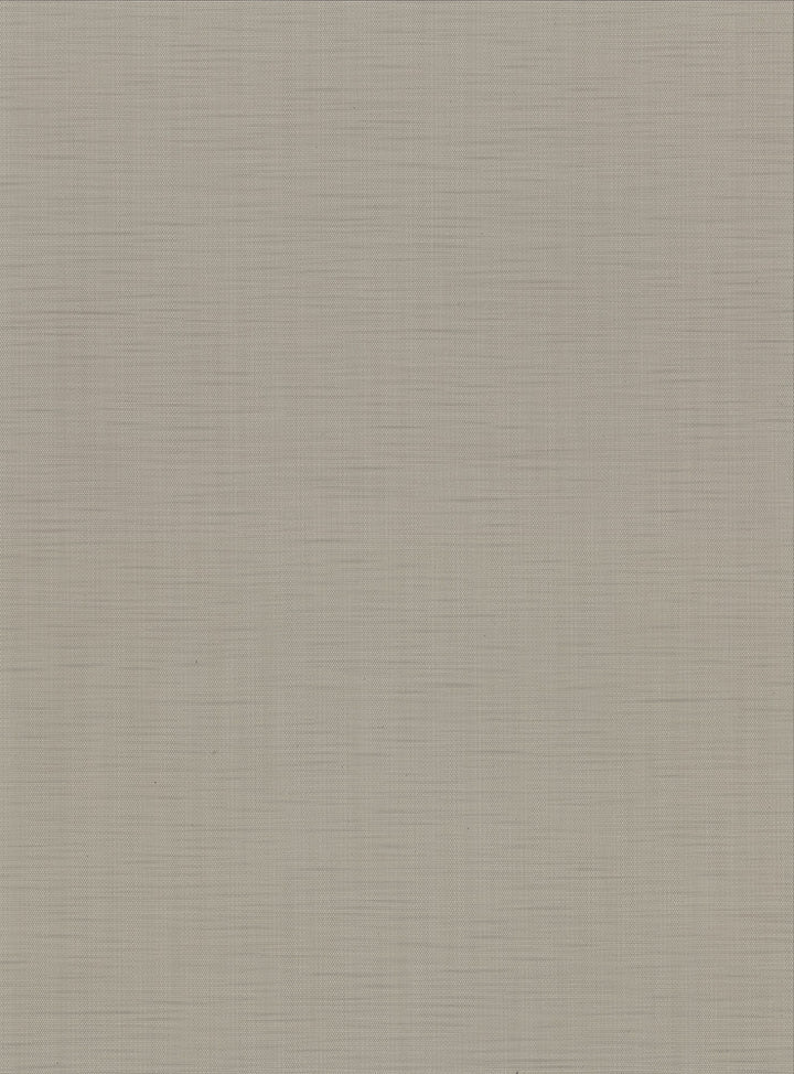 Chorus Taupe Faux Grasscloth Wallpaper by Warner Warner Basics V Covers about 60.8 square feet 27-in by 27-ft long roll Unpasted 0 - Fabric Carolina -