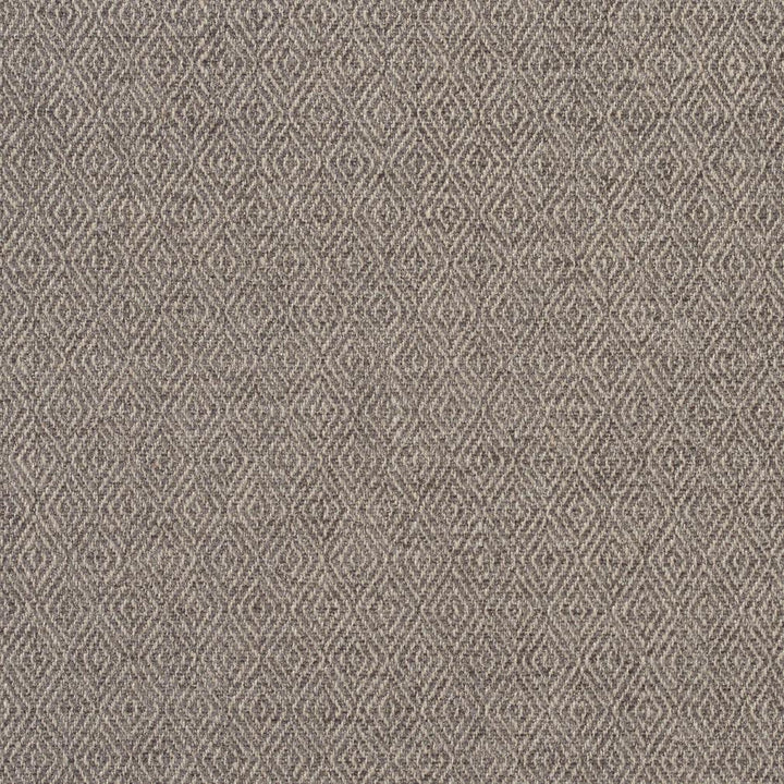 2913 Flannel by Charlotte Designer Fabric Ring Book Page #2A 100% Woven Polyester Asia Exceeds 100,000 Wyzenbeek Rubs (Heavy Duty) Horizonta: .5" x Vertical: 1" 54 Inches - Swanky Fabrics -