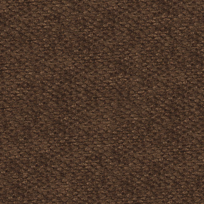 Palmata Bark by Kravet Smart Fabric
