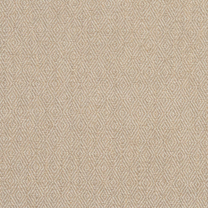 2917 Sand by Charlotte Fabric Ring Book Page #2A 100% Woven Polyester Asia Exceeds 100,000 Wyzenbeek Rubs (Heavy Duty) Horizonta: .5" x Vertical: 1" 54 Inches - Fabric Carolina -