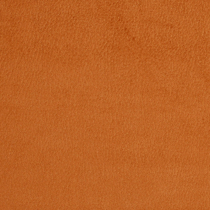 2920 Apricot by Charlotte Designer Fabric Ring Book Page #4A 100% Woven Polyester Asia Exceeds 180,000 Wyzenbeek Rubs (Heavy Duty) No Repeat 54 Inches - Swanky Fabrics -