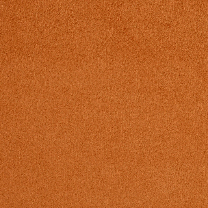 2920 Apricot by Charlotte Fabric Ring Book Page #4A 100% Woven Polyester Asia Exceeds 180,000 Wyzenbeek Rubs (Heavy Duty) No Repeat 54 Inches - Fabric Carolina -