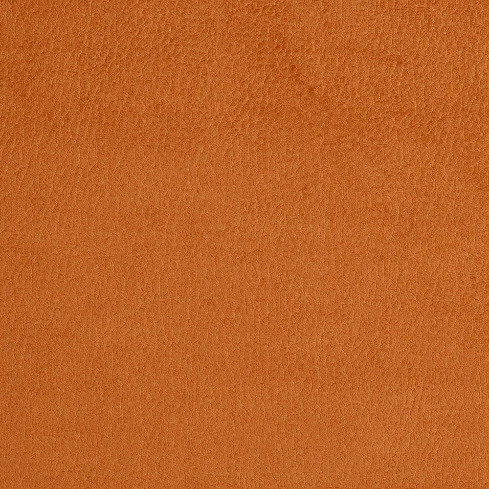 2920 Apricot by Charlotte Designer Fabric Ring Book Page #4A 100% Woven Polyester Asia Exceeds 180,000 Wyzenbeek Rubs (Heavy Duty) No Repeat 54 Inches - Swanky Fabrics -