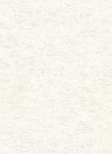 Pembroke White Faux Plaster Wallpaper by Warner