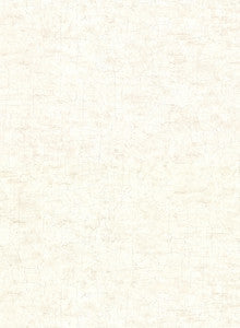 Pembroke Cream Faux Plaster Wallpaper by Warner