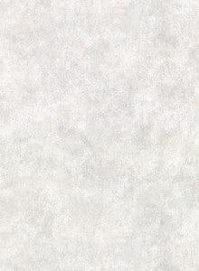 Hereford Light Grey Faux Plaster Wallpaper by Warner