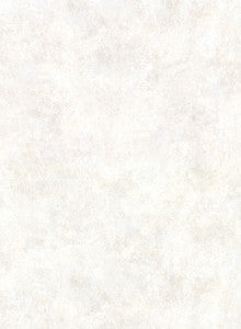 Hereford Cream Faux Plaster Wallpaper by Warner