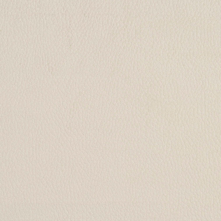2922 Eggshell by Charlotte Designer Fabric Ring Book Page #4A 100% Woven Polyester Asia Exceeds 190,000 Wyzenbeek Rubs (Heavy Duty) </p><p>Repeat: No Repeat 54 Inches - Swanky Fabrics -