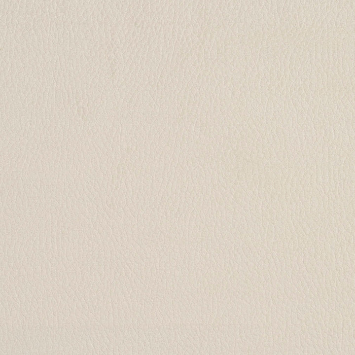 2922 Eggshell by Charlotte Fabric Ring Book Page #4A 100% Woven Polyester Asia Exceeds 180,000 Wyzenbeek Rubs (Heavy Duty) No Repeat 54 Inches - Fabric Carolina -