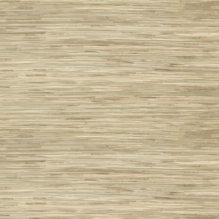 Sogen Neutral Knotted Grasscloth Wallpaper by A-Street Prints Twine Covers about 72 square feet 36-in by 24-ft long roll Unpasted 0 - Fabric Carolina -