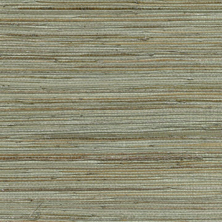 Shandong Sea Green Green Grasscloth Wallpaper by A-Street Prints Twine Covers about 72 square feet 36-in by 24-ft long roll Unpasted 0 - Fabric Carolina -