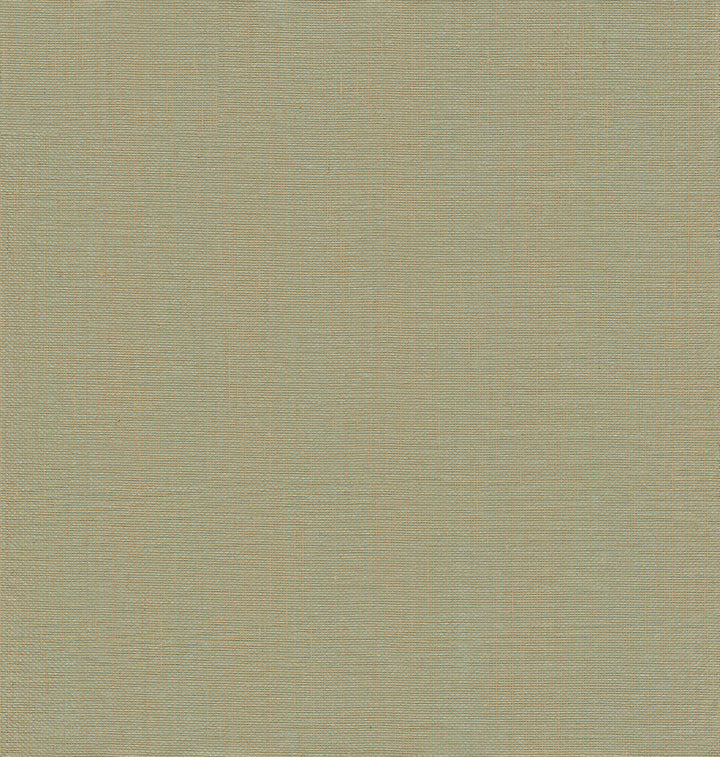 Yanyu Sage Paper Weave Wallpaper by A-Street Prints Twine Covers about 72 square feet 36-in by 24-ft long roll Unpasted 0 - Fabric Carolina -