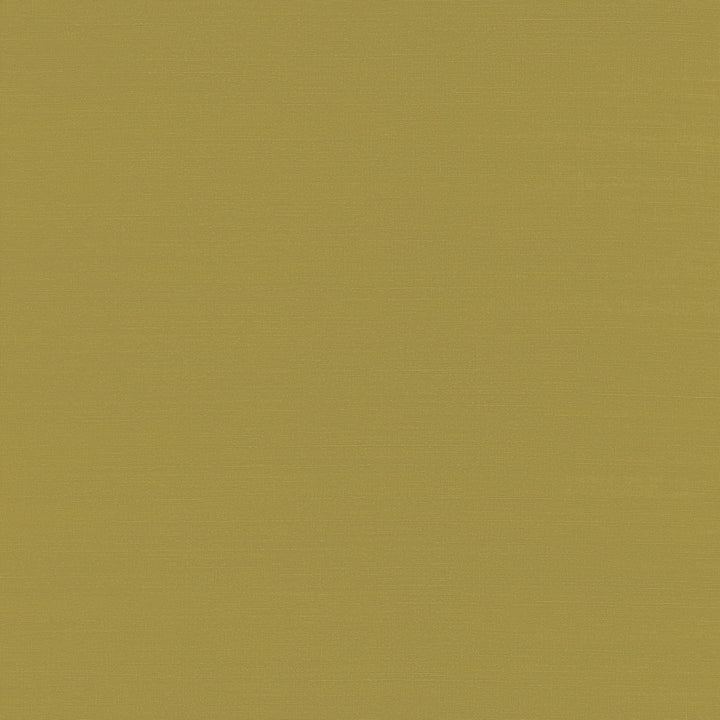 Yunri Chartreuse Sisal Grasscloth Wallpaper by A-Street Prints Twine Covers about 72 square feet 36-in by 24-ft long roll Unpasted 0 - Fabric Carolina -