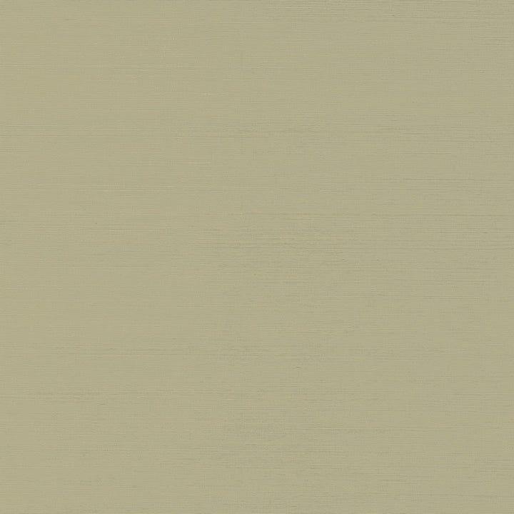 Yunri Sage Sisal Grasscloth Wallpaper by A-Street Prints Twine Covers about 72 square feet 36-in by 24-ft long roll Unpasted 0 - Fabric Carolina -