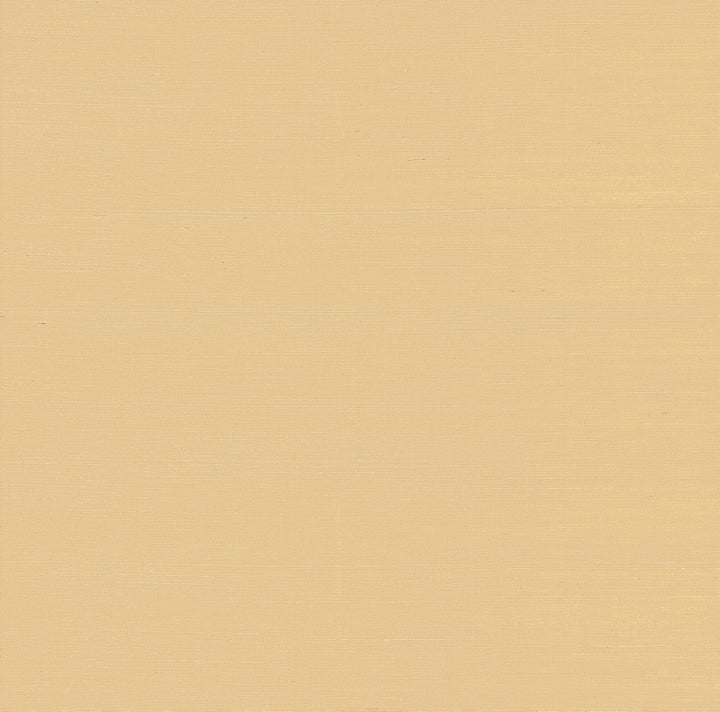 Weici Apricot Sisal Grasscloth Wallpaper by A-Street Prints Twine Covers about 72 square feet 36-in by 24-ft long roll Unpasted 0 - Fabric Carolina -