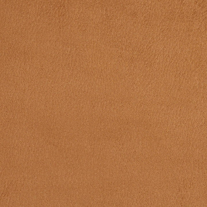2923 Camel by Charlotte Designer Fabric Ring Book Page #4A 100% Woven Polyester Asia Exceeds 180,000 Wyzenbeek Rubs (Heavy Duty) No Repeat 54 Inches - Swanky Fabrics -