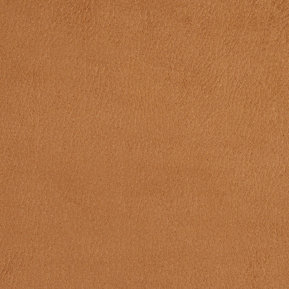 2923 Camel by Charlotte Designer Fabric Ring Book Page #4A 100% Woven Polyester Asia Exceeds 180,000 Wyzenbeek Rubs (Heavy Duty) No Repeat 54 Inches - Swanky Fabrics -