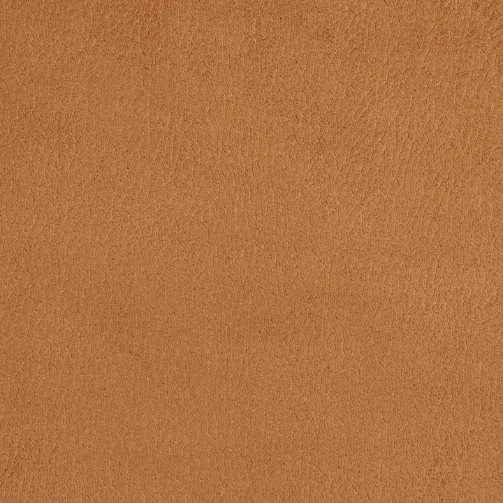 2923 Camel by Charlotte Fabric Ring Book Page #4A 100% Woven Polyester Asia Exceeds 180,000 Wyzenbeek Rubs (Heavy Duty) No Repeat 54 Inches - Fabric Carolina -