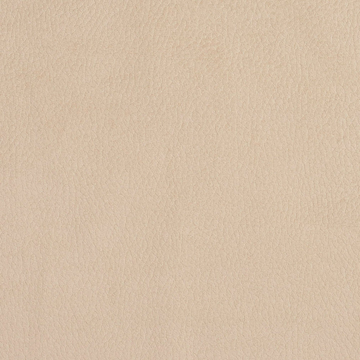 2926 Ecru by Charlotte Fabric Ring Book Page #4A 100% Woven Polyester Asia Exceeds 180,000 Wyzenbeek Rubs (Heavy Duty) No Repeat 54 Inches - Fabric Carolina -
