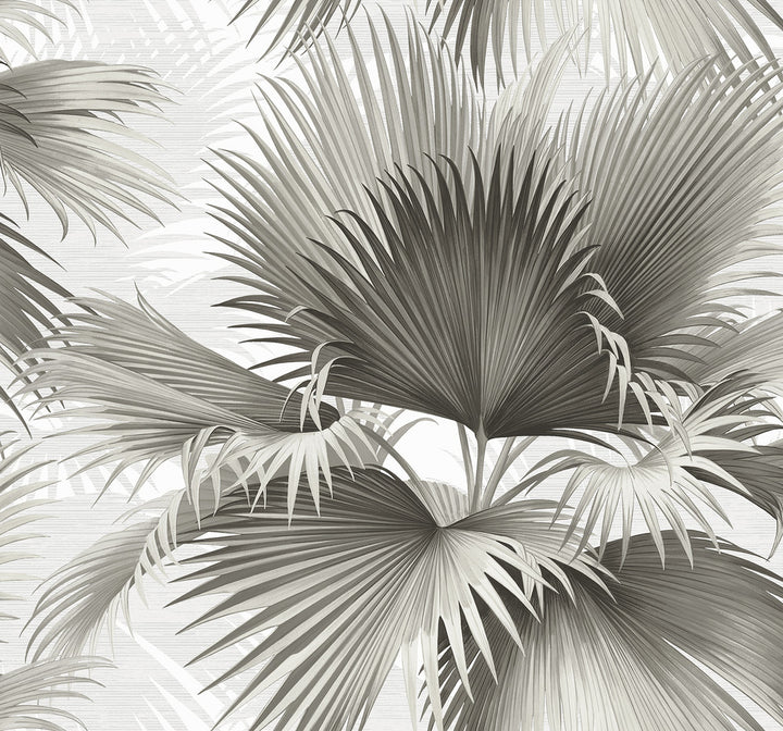 Summer Palm Charcoal Tropical Wallpaper by A-Street Prints Newport Covers about 60.8 square feet 27-in by 27-ft long roll Unpasted 25.2 - Fabric Carolina -