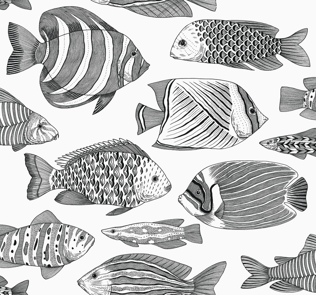 Wailea Black Tropical School Wallpaper by A-Street Prints Designer