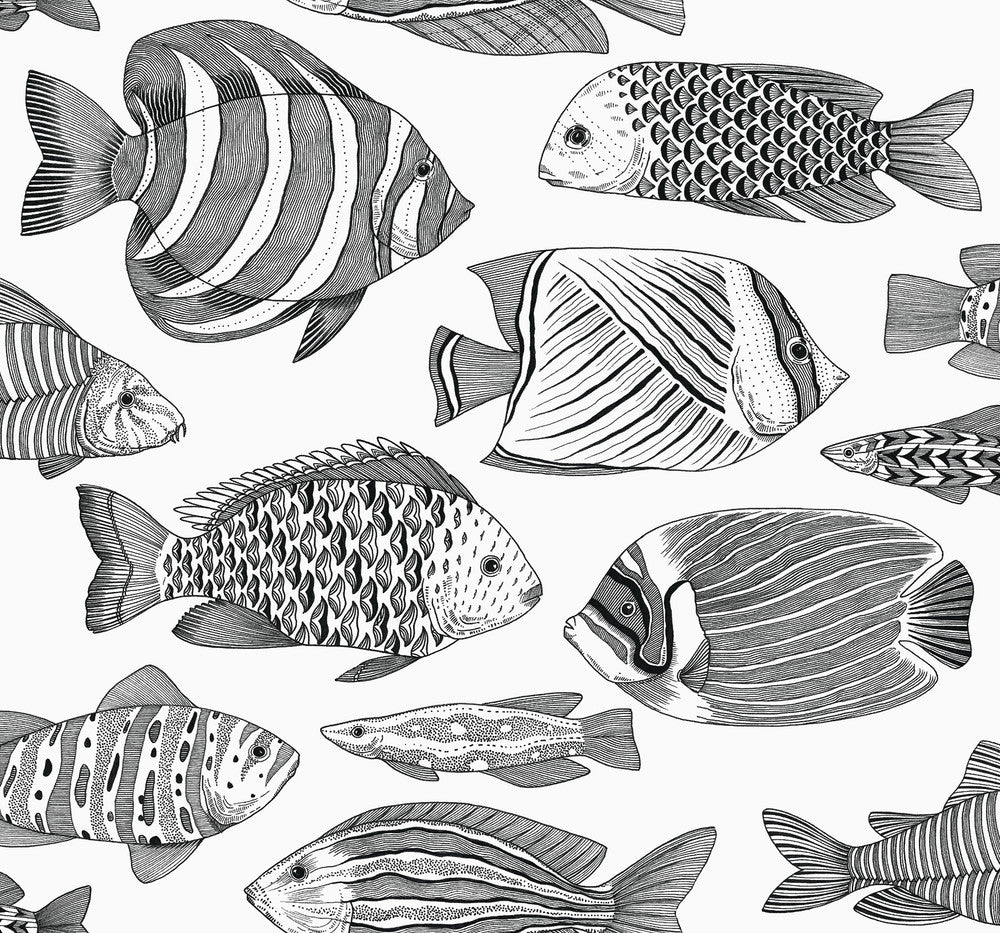 Wailea Black Tropical School Wallpaper by A-Street Prints Newport Covers about 60.8 square feet 27-in by 27-ft long roll Unpasted 25.2 - Fabric Carolina -