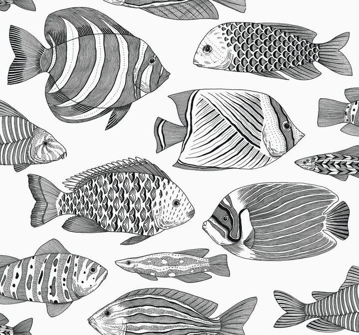 Wailea Black Tropical School Wallpaper by A-Street Prints Newport Covers about 60.8 square feet 27-in by 27-ft long roll Unpasted 25.2 - Fabric Carolina -