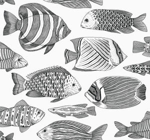 Wailea Black Tropical School Wallpaper by A-Street Prints